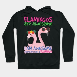 'Flamingos Are Awesome' Awesome Flamingo Bird Hoodie